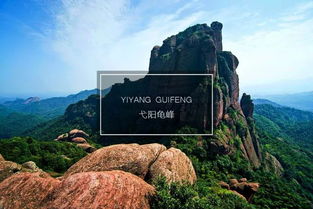 7月7 8號(hào) 弋陽龜峰一日游