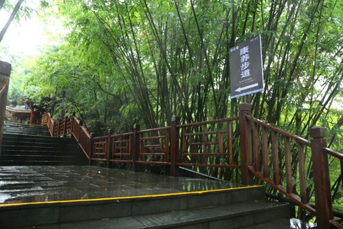 通知丨龍宮景區(qū)調整部分游覽線路及龍宮精品旅游攻略